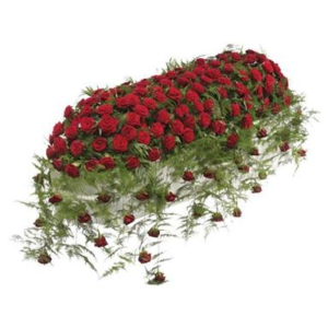 Bed of Red Roses