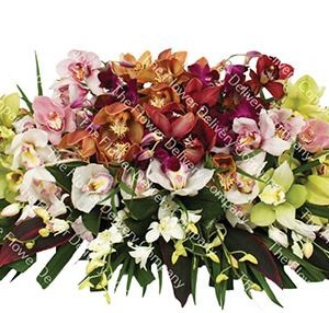 Raindance Coffin Spray