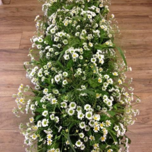 White Daisies Coffin Spray