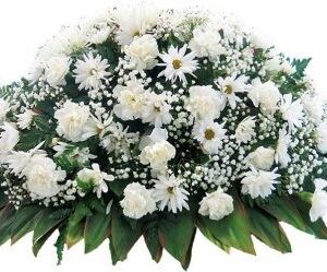 White Peace Coffin Spray